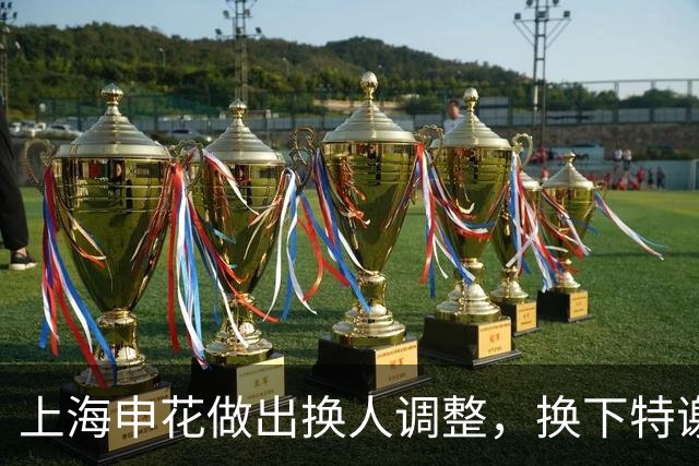 上海申花做出换人调整，换下特谢拉，蒋圣龙替补登场！