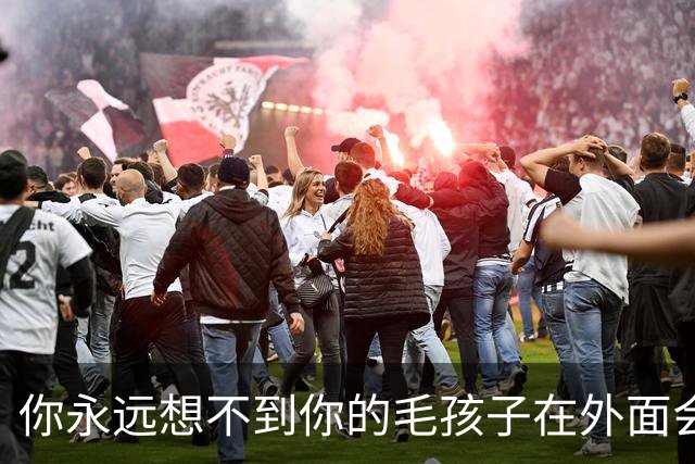 你永远想不到你的毛孩子在外面会被叫什么！网友：坚果被叫建国…