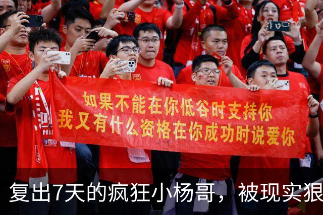 复出7天的疯狂小杨哥，被现实狠狠打了一巴掌