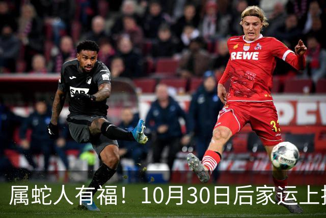 属蛇人有福！10月30日后家运上扬，家中晚辈迎来上升机遇