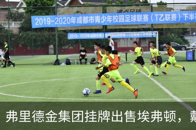 弗里德金集团挂牌出售埃弗顿，戴尔家族入局竞购