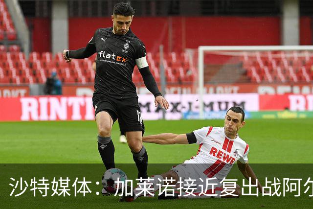 沙特媒体：加莱诺接近复出战阿尔沙巴布
