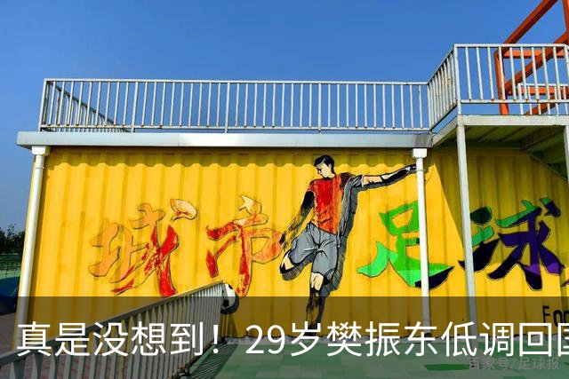 真是没想到！29岁樊振东低调回国仅1天，重返国乒风波再起！回不回国家队，王励勤早已把话挑明，球迷直呼看懂了