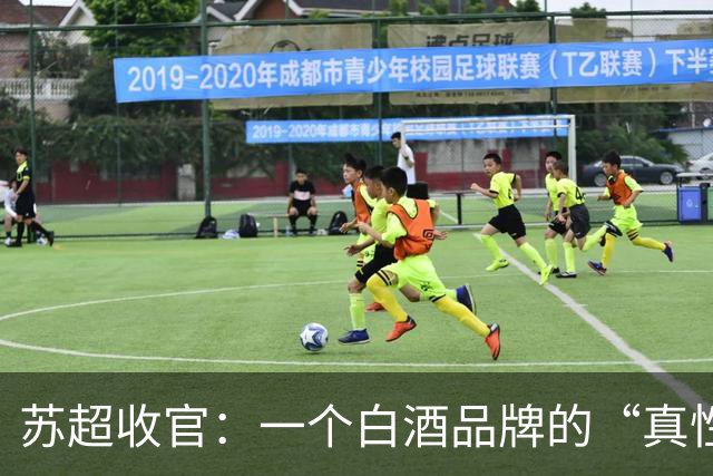 苏超收官：一个白酒品牌的“真性情”实践