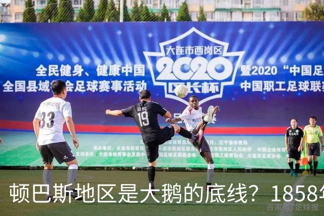 顿巴斯地区是大鹅的底线？1858年，沙俄的底线是黑龙江以北60万平方公里