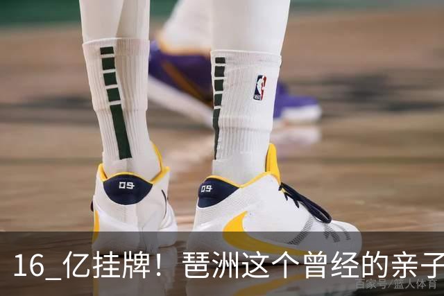 16 亿挂牌！琶洲这个曾经的亲子遛娃地标，谁来接盘？